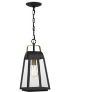 O'Leary 1-Light Outdoor Hanging Light - Earth Black