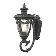 Anise 1-Light Outdoor Wall Sconce - Textured Matte Black