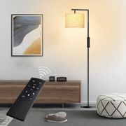 Haileyville 64" Arched Floor Lamp with Remote Control and Bulb - Black