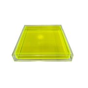 Encased Lucite Decorative Tray - Green