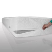 Waterproof, Bed Bug, and Dust Mite Control Cotton Mattress Protector - Queen