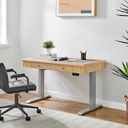 Danee 48" Adjustable Desk