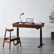 Danee Adjustable Desk - 48", Brown