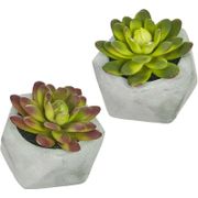 Hacienda Mini Artificial Succulents in Geometric Pots - 3.75", Set of 2, Gray