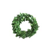 Preserved Boxwood Wreath -  21.5", Set of 2, Green