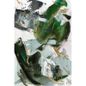 Dark Emerald I' Wrapped Canvas Print - 18"